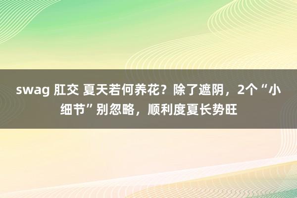 swag 肛交 夏天若何养花？除了遮阴，2个“小细节”别忽略，顺利度夏长势旺