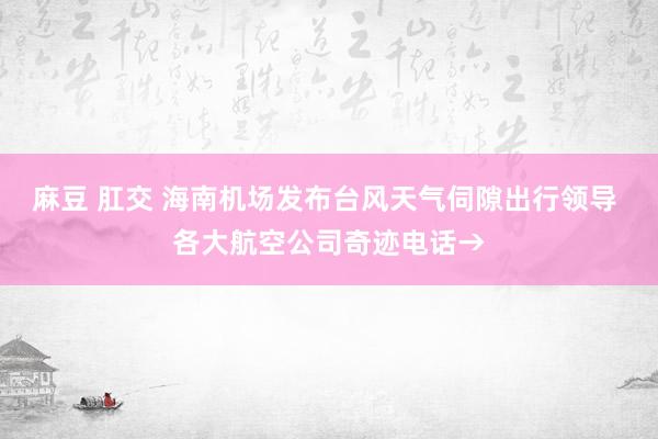 麻豆 肛交 海南机场发布台风天气伺隙出行领导 各大航空公司奇迹电话→