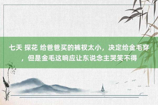 七天 探花 给爸爸买的裤衩太小，决定给金毛穿，但是金毛这响应让东说念主哭笑不得