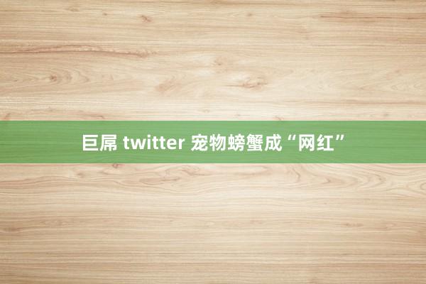 巨屌 twitter 宠物螃蟹成“网红”