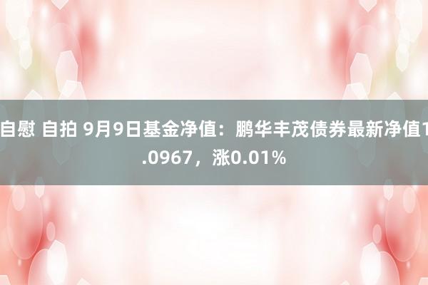 自慰 自拍 9月9日基金净值：鹏华丰茂债券最新净值1.0967，涨0.01%