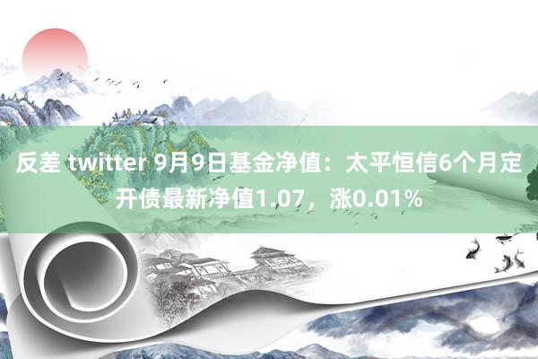 反差 twitter 9月9日基金净值：太平恒信6个月定开债最新净值1.07，涨0.01%