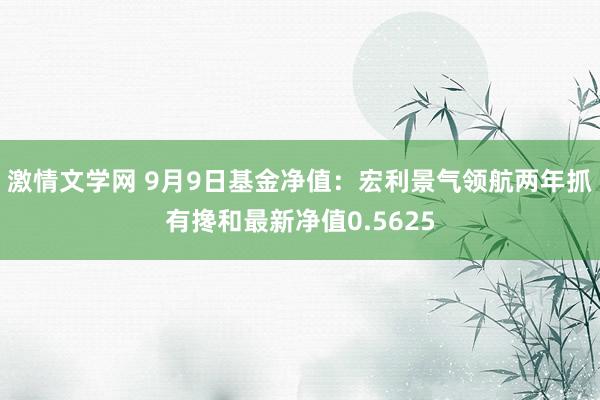 激情文学网 9月9日基金净值：宏利景气领航两年抓有搀和最新净值0.5625