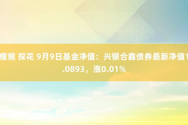 瘦猴 探花 9月9日基金净值：兴银合鑫债券最新净值1.0893，涨0.01%