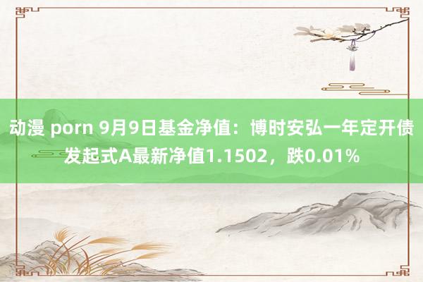 动漫 porn 9月9日基金净值：博时安弘一年定开债发起式A最新净值1.1502，跌0.01%