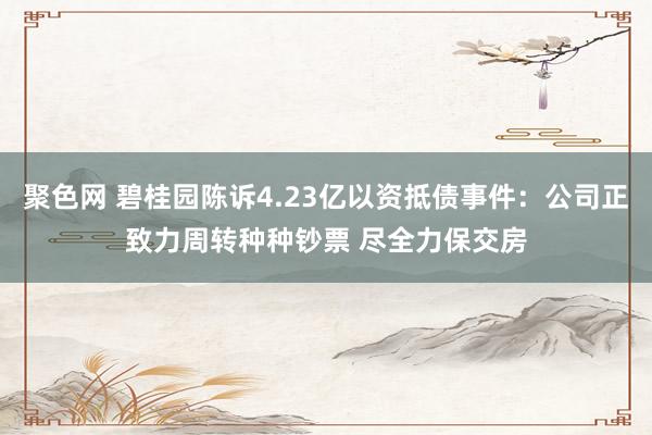 聚色网 碧桂园陈诉4.23亿以资抵债事件：公司正致力周转种种钞票 尽全力保交房