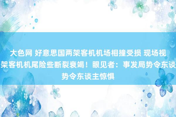 大色网 好意思国两架客机机场相撞受损 现场视频：一架客机机尾险些断裂衰竭！眼见者：事发局势令东谈主惊惧