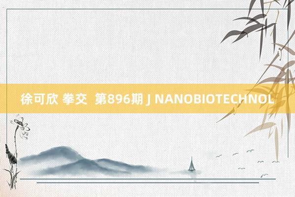 徐可欣 拳交  第896期 J NANOBIOTECHNOL