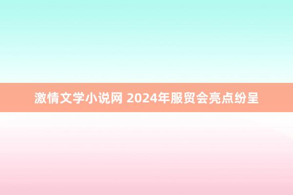 激情文学小说网 2024年服贸会亮点纷呈