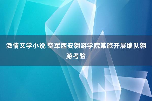 激情文学小说 空军西安翱游学院某旅开展编队翱游考验