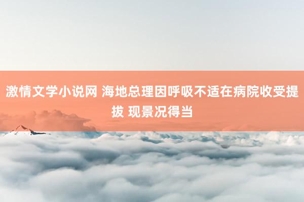 激情文学小说网 海地总理因呼吸不适在病院收受提拔 现景况得当