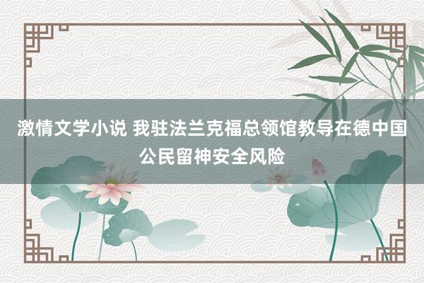 激情文学小说 我驻法兰克福总领馆教导在德中国公民留神安全风险