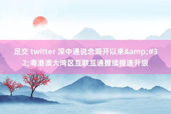 足交 twitter 深中通说念洞开以来&#32;粤港澳大湾区互联互通握续提速升级