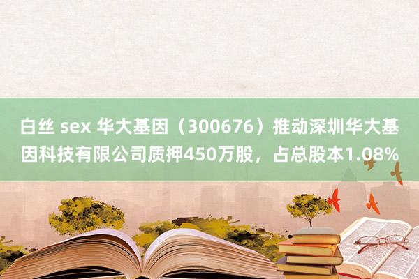 白丝 sex 华大基因（300676）推动深圳华大基因科技有限公司质押450万股，占总股本1.08%