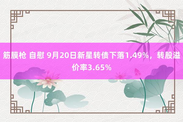 筋膜枪 自慰 9月20日新星转债下落1.49%，转股溢价率3.65%