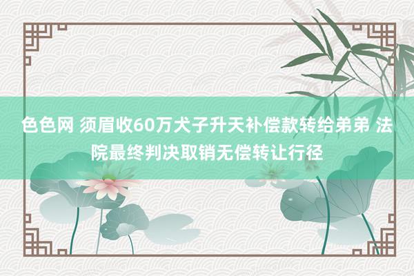 色色网 须眉收60万犬子升天补偿款转给弟弟 法院最终判决取销无偿转让行径