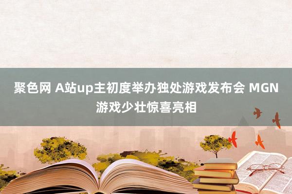 聚色网 A站up主初度举办独处游戏发布会 MGN游戏少壮惊喜亮相