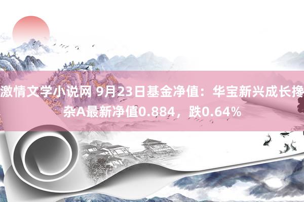 激情文学小说网 9月23日基金净值：华宝新兴成长搀杂A最新净值0.884，跌0.64%