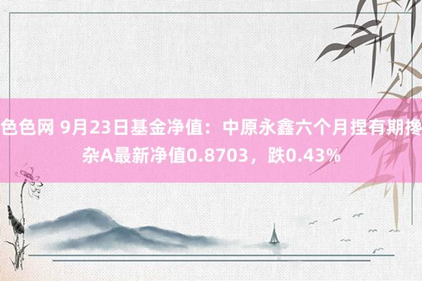 色色网 9月23日基金净值：中原永鑫六个月捏有期搀杂A最新净值0.8703，跌0.43%