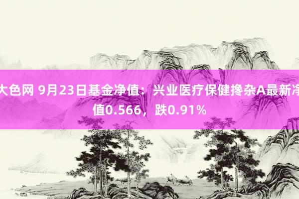 大色网 9月23日基金净值：兴业医疗保健搀杂A最新净值0.566，跌0.91%