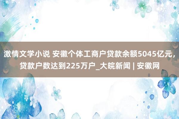 激情文学小说 安徽个体工商户贷款余额5045亿元，贷款户数达到225万户_大皖新闻 | 安徽网