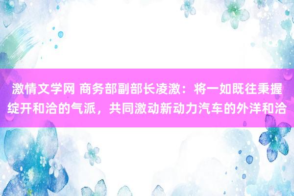 激情文学网 商务部副部长凌激：将一如既往秉握绽开和洽的气派，共同激动新动力汽车的外洋和洽