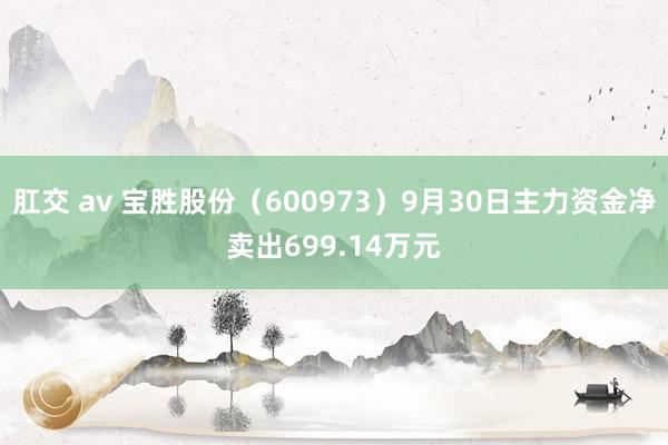 肛交 av 宝胜股份（600973）9月30日主力资金净卖出699.14万元