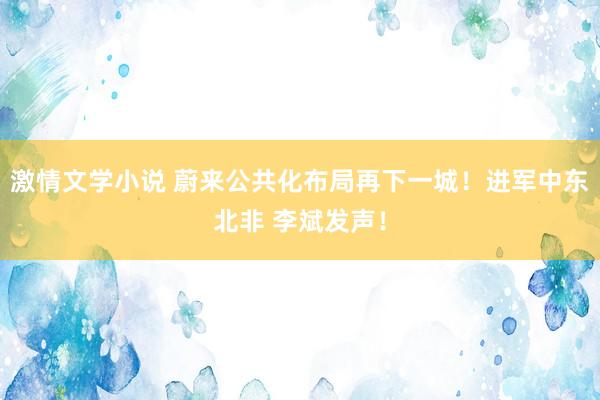 激情文学小说 蔚来公共化布局再下一城！进军中东北非 李斌发声！