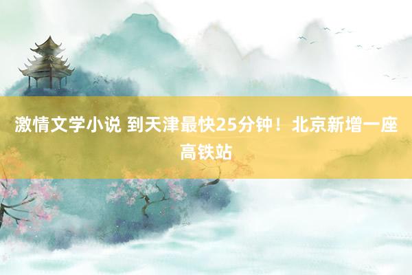 激情文学小说 到天津最快25分钟！北京新增一座高铁站