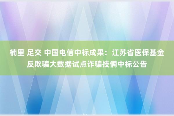 楠里 足交 中国电信中标成果：江苏省医保基金反欺骗大数据试点诈骗技俩中标公告