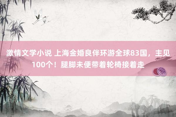 激情文学小说 上海金婚良伴环游全球83国，主见100个！腿脚未便带着轮椅接着走