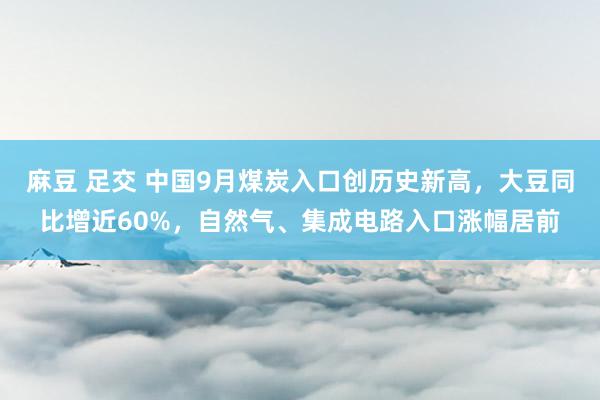 麻豆 足交 中国9月煤炭入口创历史新高，大豆同比增近60%，自然气、集成电路入口涨幅居前