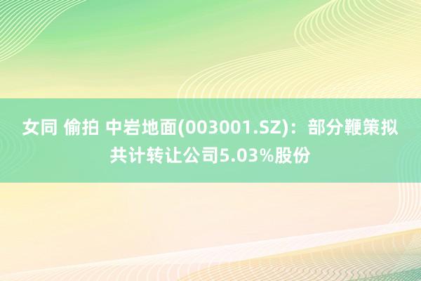 女同 偷拍 中岩地面(003001.SZ)：部分鞭策拟共计转让公司5.03%股份