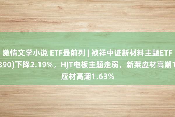 激情文学小说 ETF最前列 | 祯祥中证新材料主题ETF(516890)下降2.19%，HJT电板主题走弱，新莱应材高潮1.63%