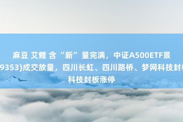 麻豆 艾鲤 含 “新” 量完满，中证A500ETF景顺(159353)成交放量，四川长虹、四川路桥、梦网科技封板涨停