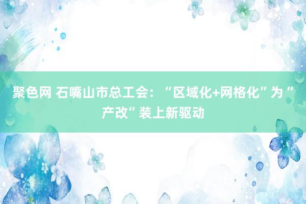 聚色网 石嘴山市总工会：“区域化+网格化”为“产改”装上新驱动