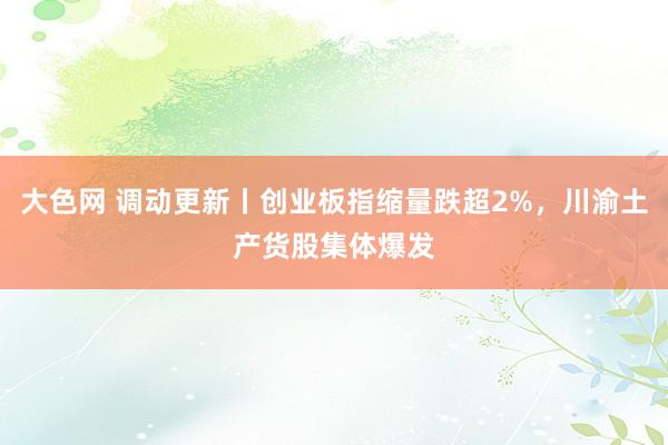 大色网 调动更新丨创业板指缩量跌超2%，川渝土产货股集体爆发