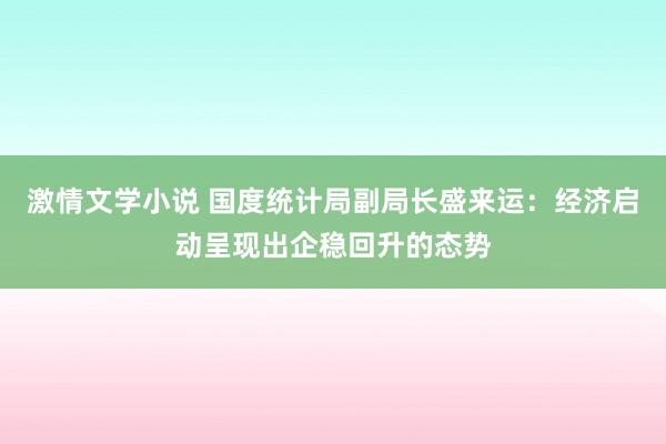 激情文学小说 国度统计局副局长盛来运：经济启动呈现出企稳回升的态势