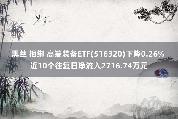 黑丝 捆绑 高端装备ETF(516320)下降0.26% 近10个往复日净流入2716.74万元