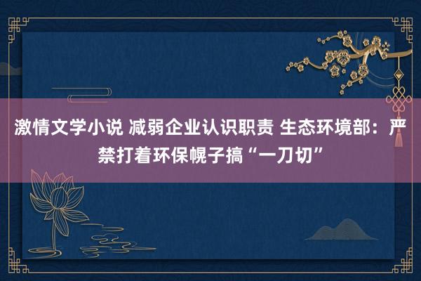 激情文学小说 减弱企业认识职责 生态环境部：严禁打着环保幌子搞“一刀切”