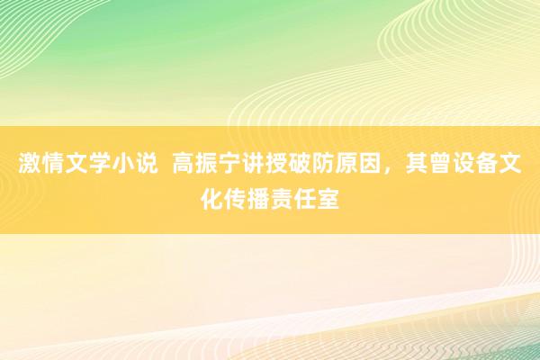 激情文学小说  高振宁讲授破防原因，其曾设备文化传播责任室