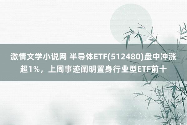 激情文学小说网 半导体ETF(512480)盘中冲涨超1%，上周事迹阐明置身行业型ETF前十