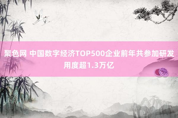 聚色网 中国数字经济TOP500企业前年共参加研发用度超1.3万亿