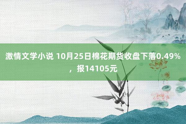 激情文学小说 10月25日棉花期货收盘下落0.49%，报14105元