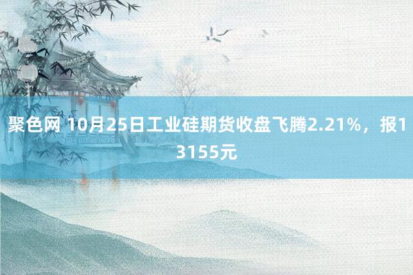 聚色网 10月25日工业硅期货收盘飞腾2.21%，报13155元