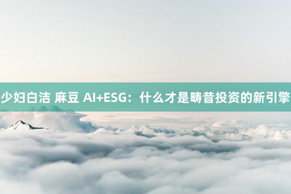 少妇白洁 麻豆 AI+ESG：什么才是畴昔投资的新引擎