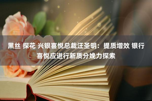 黑丝 探花 兴银喜悦总裁汪圣明：提质增效 银行喜悦应进行新质分娩力探索