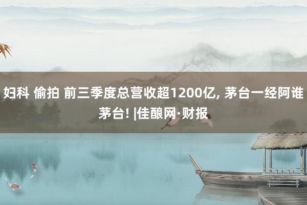 妇科 偷拍 前三季度总营收超1200亿， 茅台一经阿谁茅台! |佳酿网·财报