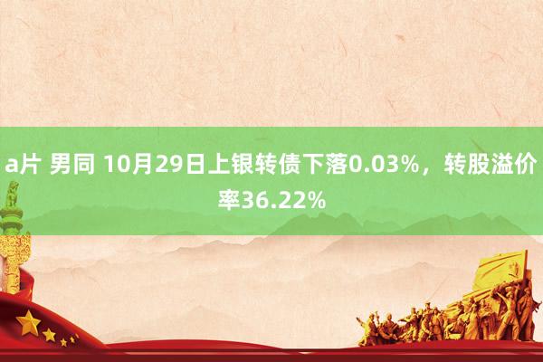 a片 男同 10月29日上银转债下落0.03%，转股溢价率36.22%