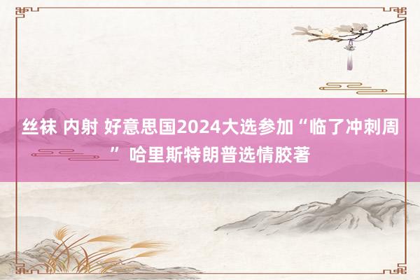 丝袜 内射 好意思国2024大选参加“临了冲刺周” 哈里斯特朗普选情胶著